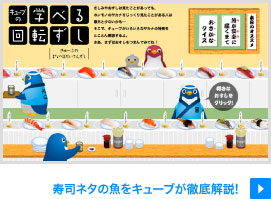 キューブの学べる回転ずし
