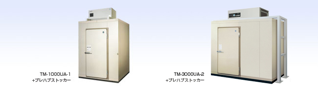 ��`���X�@TM F�V���[�Y�ꗗ