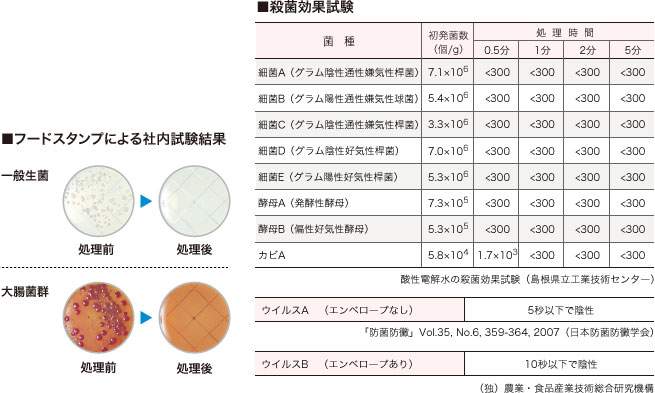 フードスタンプによる社内試験結果/殺菌効果試験結果