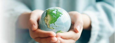Sustainability
