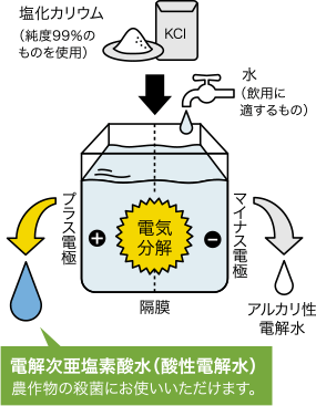 電解次亜塩素酸水(酸性電解水)製造図