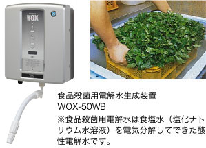 食品殺菌用電解水生成装置 WOX-40WA