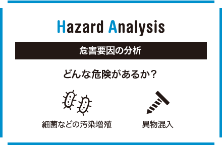 Hazard Analysis