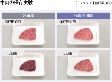 牛肉の保存実験