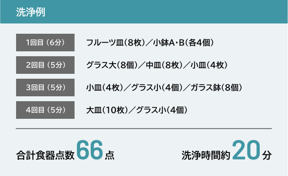 洗浄例