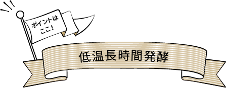 ポイントはここ！低温長時間発酵