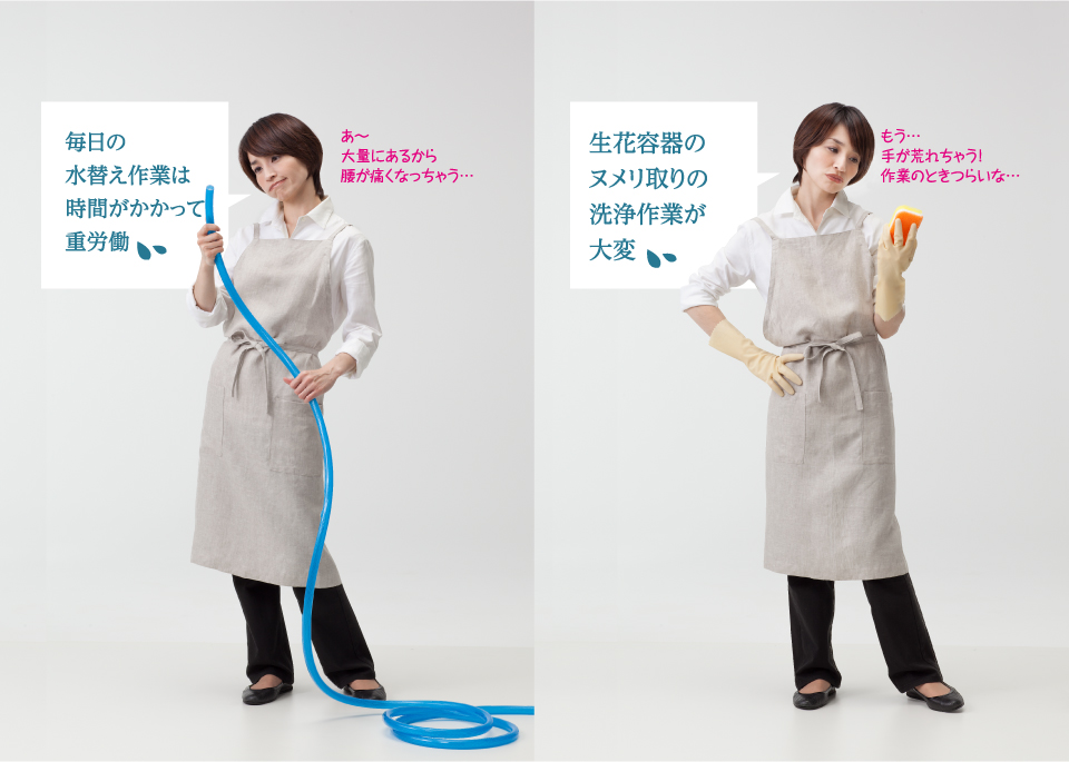 生花業界を変える新発想 FLXシリーズ 電解水フラワーショーケース 