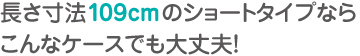 長さ寸法109cmのショートタイプならこんなケースでも大丈夫！