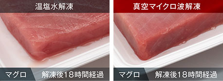 マグロ解凍