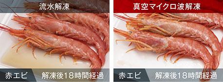 赤エビ解凍
