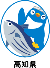 高知