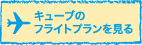 キューブのフライトプランを見る