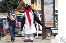 町を闊歩する着ぐるみペンギン。