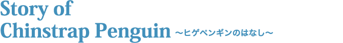 ヒゲペンギンのはなし