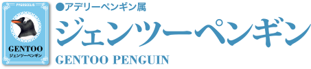 ジェンツーペンギン