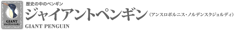 ジャイアントペンギン ペンギンライブラリー ホシザキ株式会社