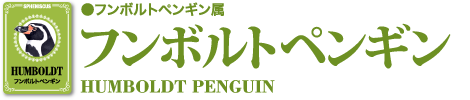 フンボルトペンギン