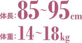 体長100～130cm 体重28～45kg