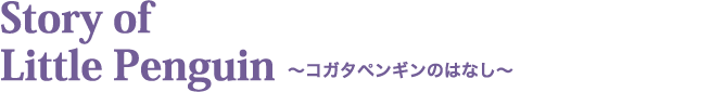 コガタペンギンのはなし