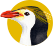 ロイヤルペンギン