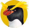 スネアーズペンギン