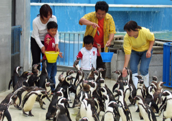 ペンギン