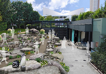 ペンギン
