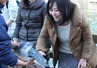 ペンギン