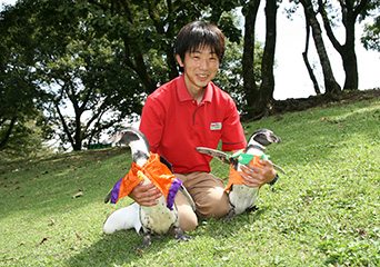 ペンギン