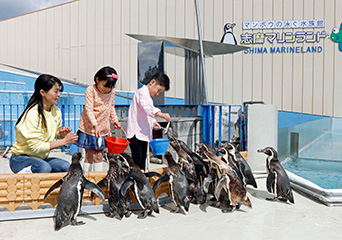 ペンギン