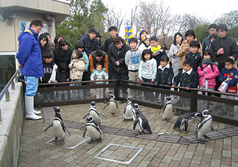 ペンギン