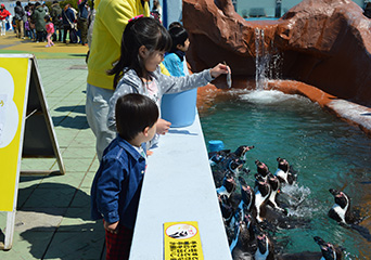 ペンギン