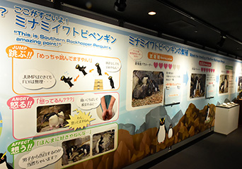 ペンギン