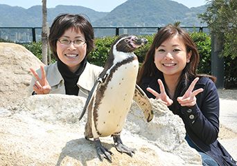 ペンギン