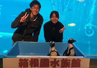 ペンギン