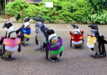 ペンギン