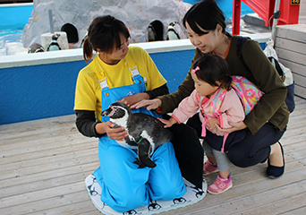 ペンギン