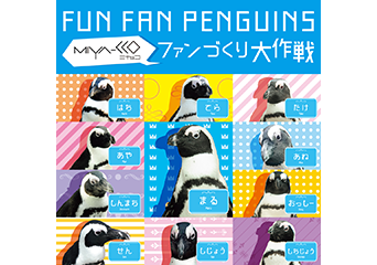 ペンギン