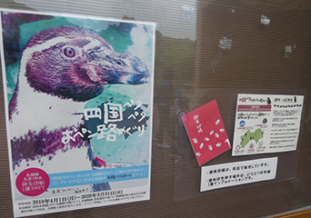ペンギン
