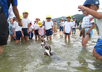 ペンギン
