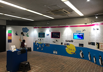 ペンギン
