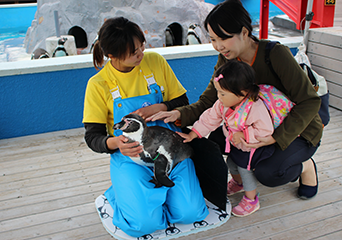 ペンギン