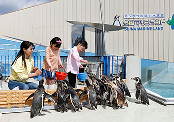 ペンギン