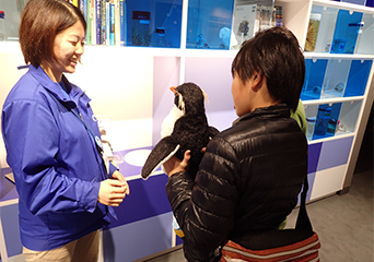 ペンギン