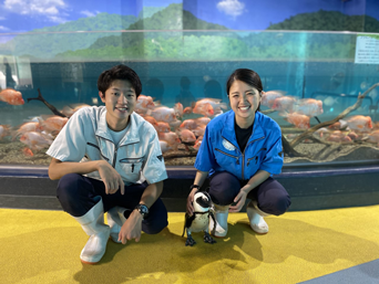 ペンギン