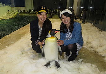 ペンギン