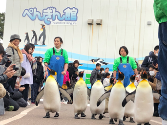 ペンギン