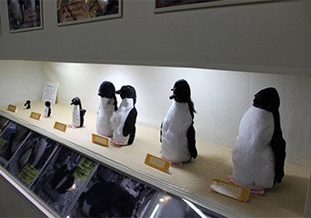 ペンギン