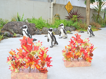 ペンギン