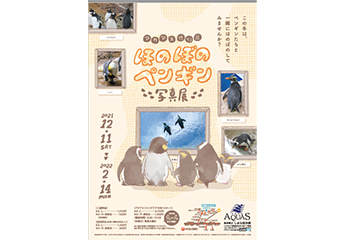 写真：ペンギンのイベント